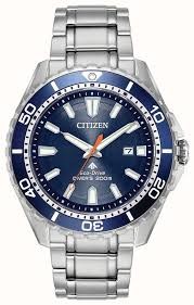 Citizen Eco-Drive Promaster Diver Watch